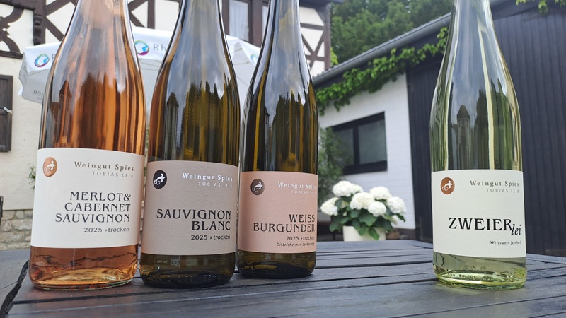 TOP 4 Sommerweine 2026